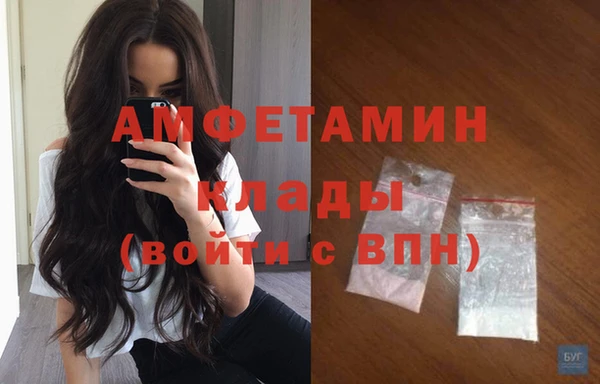 гашик Козельск