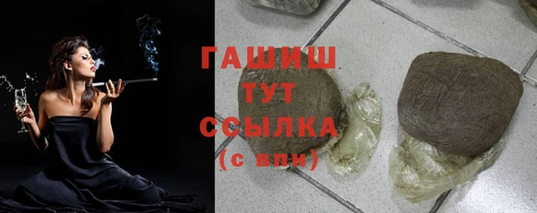 гашик Козельск