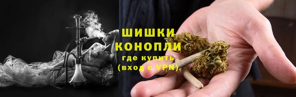 гашик Козельск