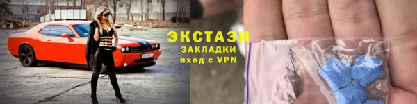 гашик Козельск