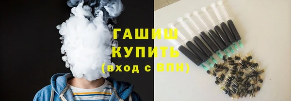 гашик Козельск