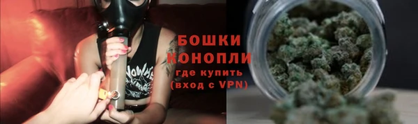 мдпв Кодинск