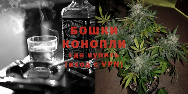 мдпв Кодинск