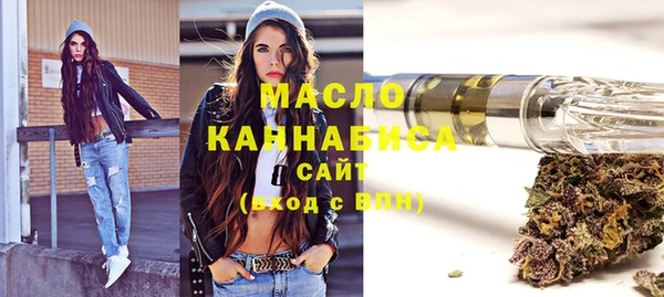 гашик Козельск