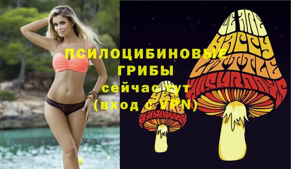 мяу мяу кристалл Козловка