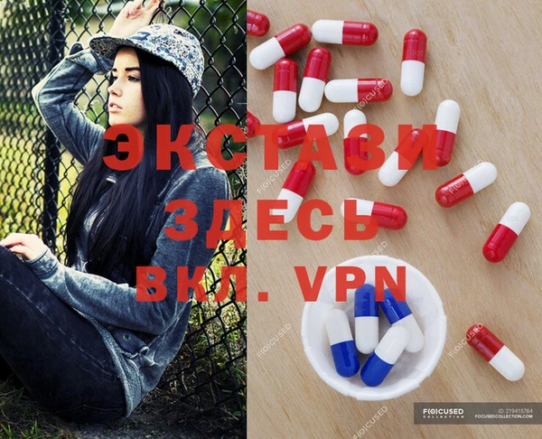 гашик Козельск