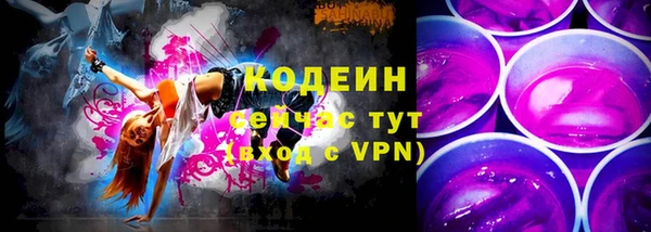 мдпв Кодинск