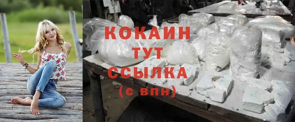 гашик Козельск