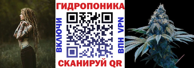 Купить закладки  Осташков  Бошки Шишки OG Kush 
